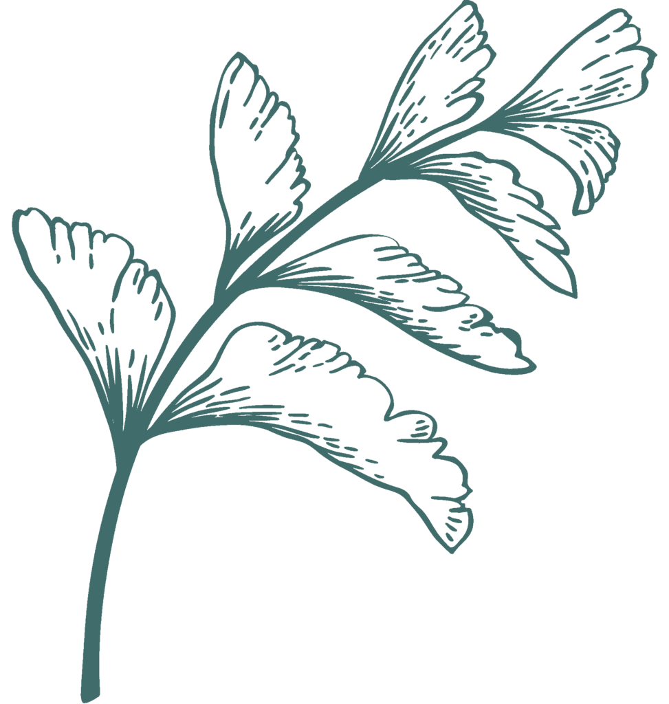 Dark-green-illustration-1-973x1024