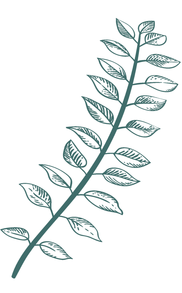 dark-green-illustration-5-635x1024