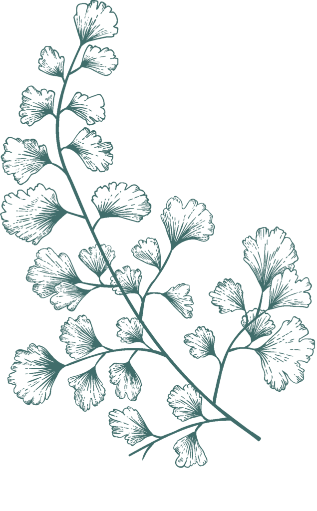 dark-green-illustration-6-635x1024