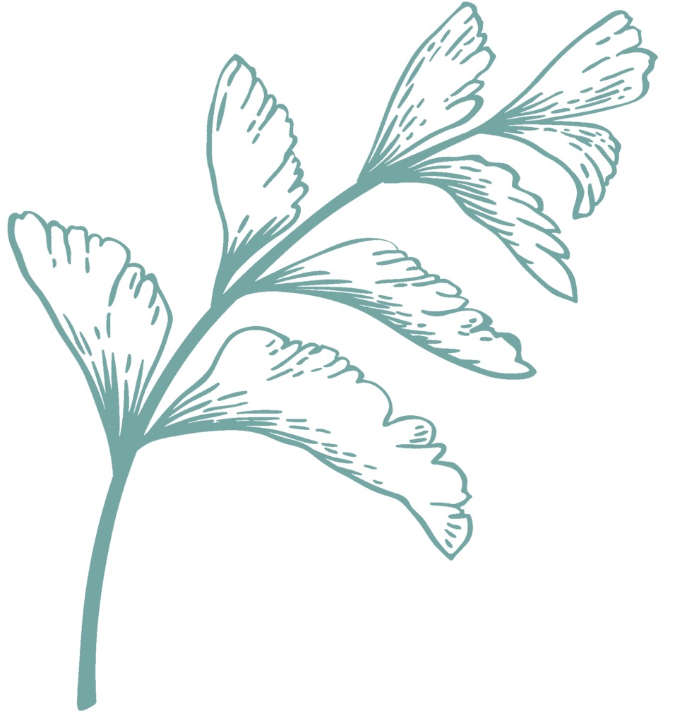 light-green-illustration-1-973x1024