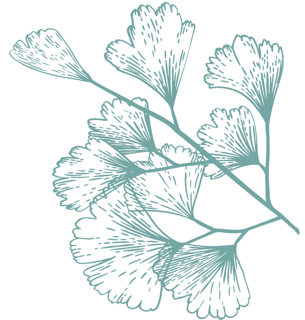 light-green-illustration-2-973x1024