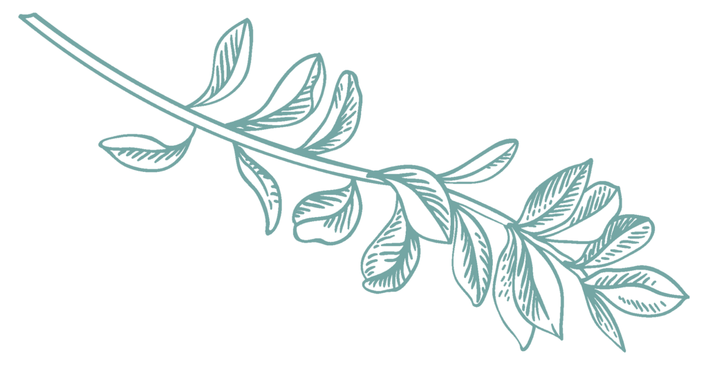 light-green-illustration-3-1024x563