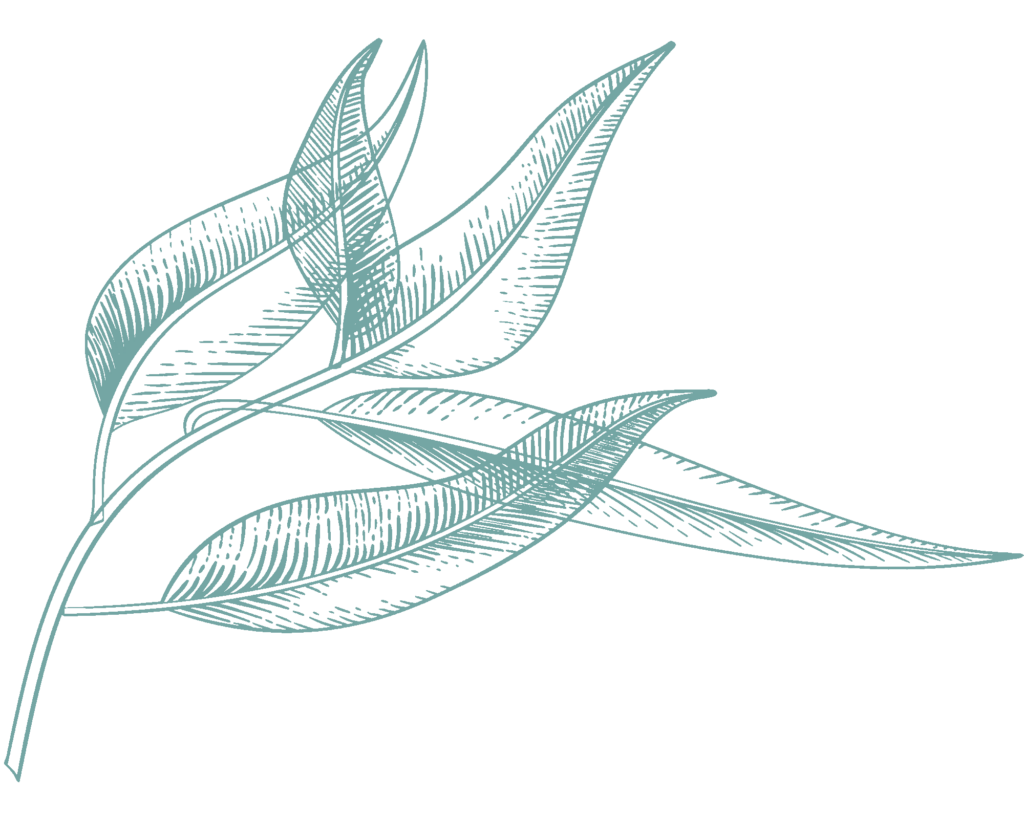 light-green-illustration-4-1024x819