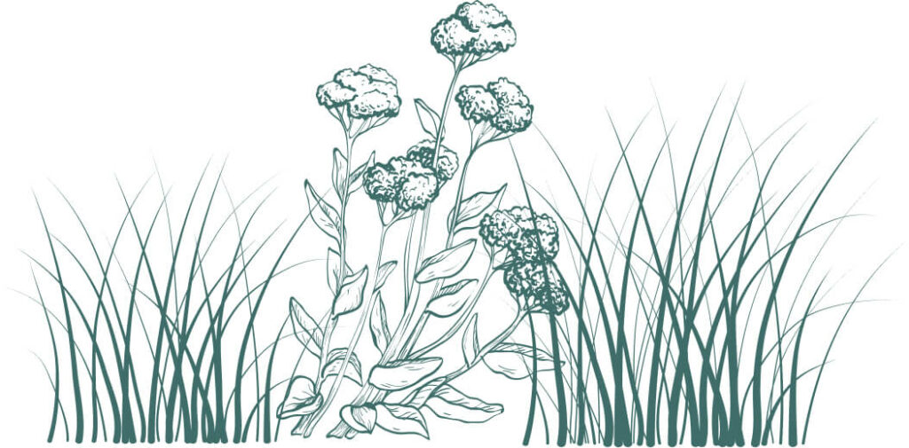 footer-right-1024x505