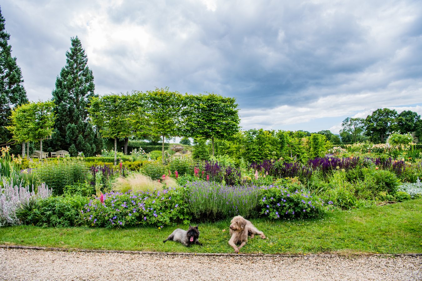 JB_KeltieandClarke-Newent27062022-8169-1350x900