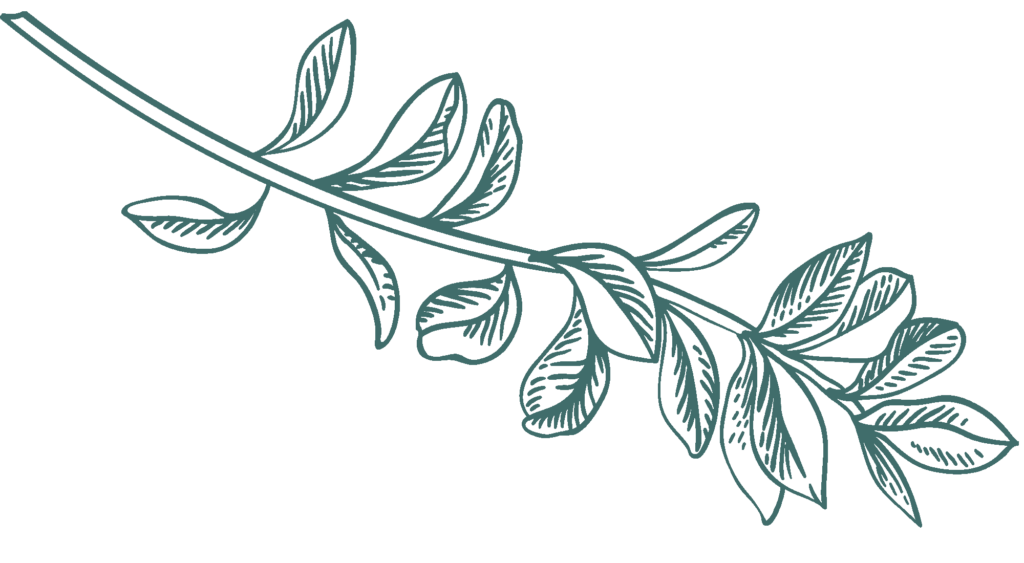 dark-green-illustration-3-1-1024x563