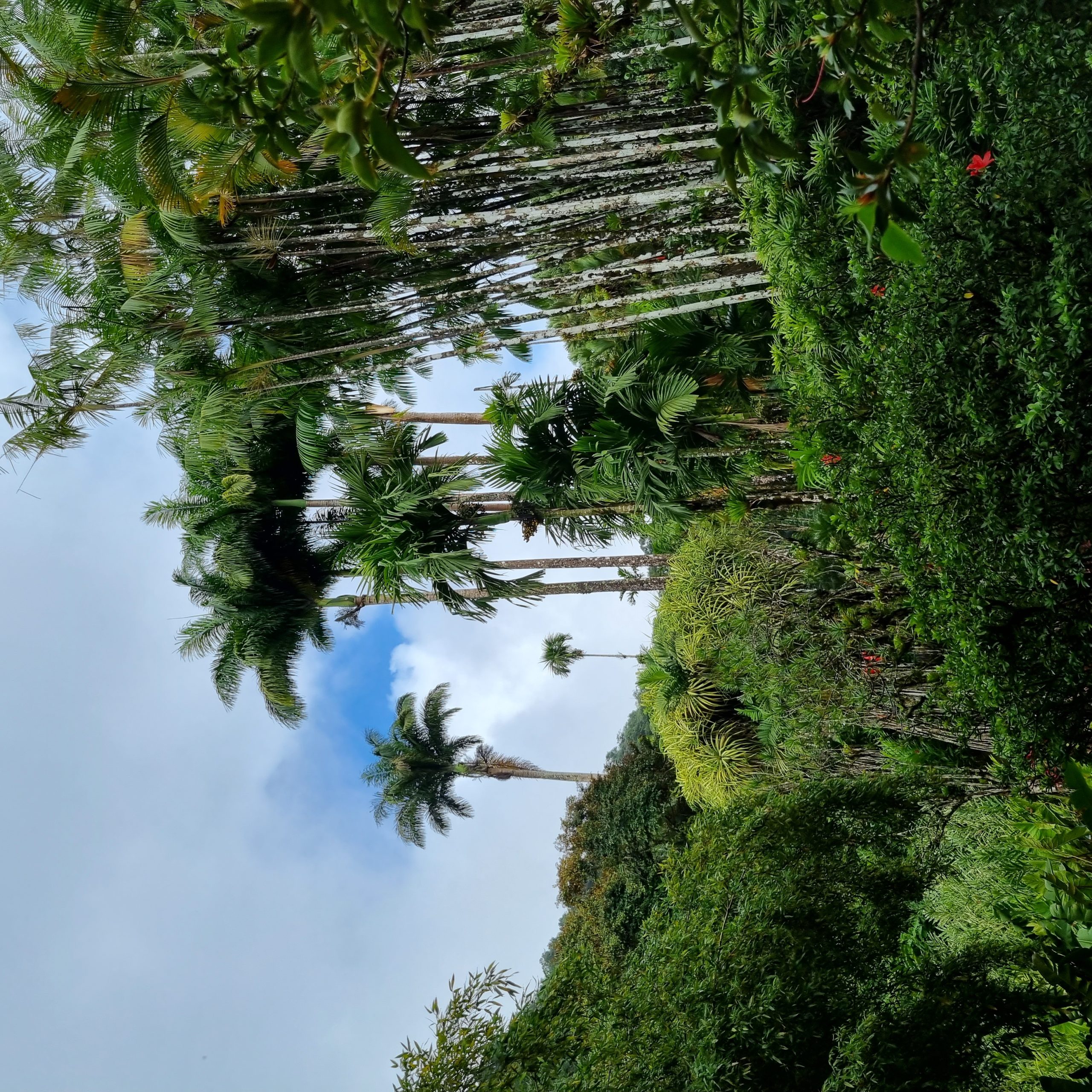 20221228_131833-scaled