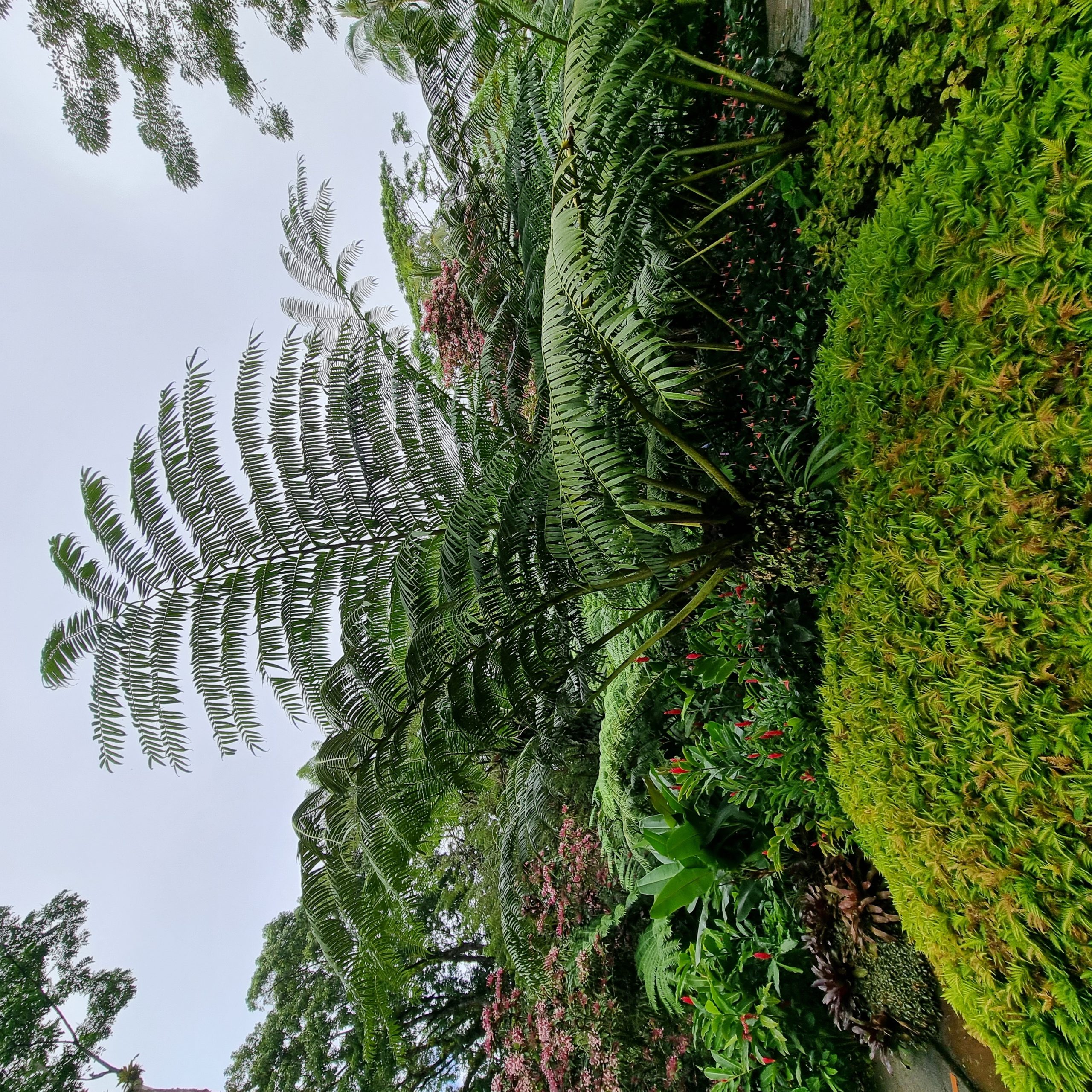 20221228_134004-scaled