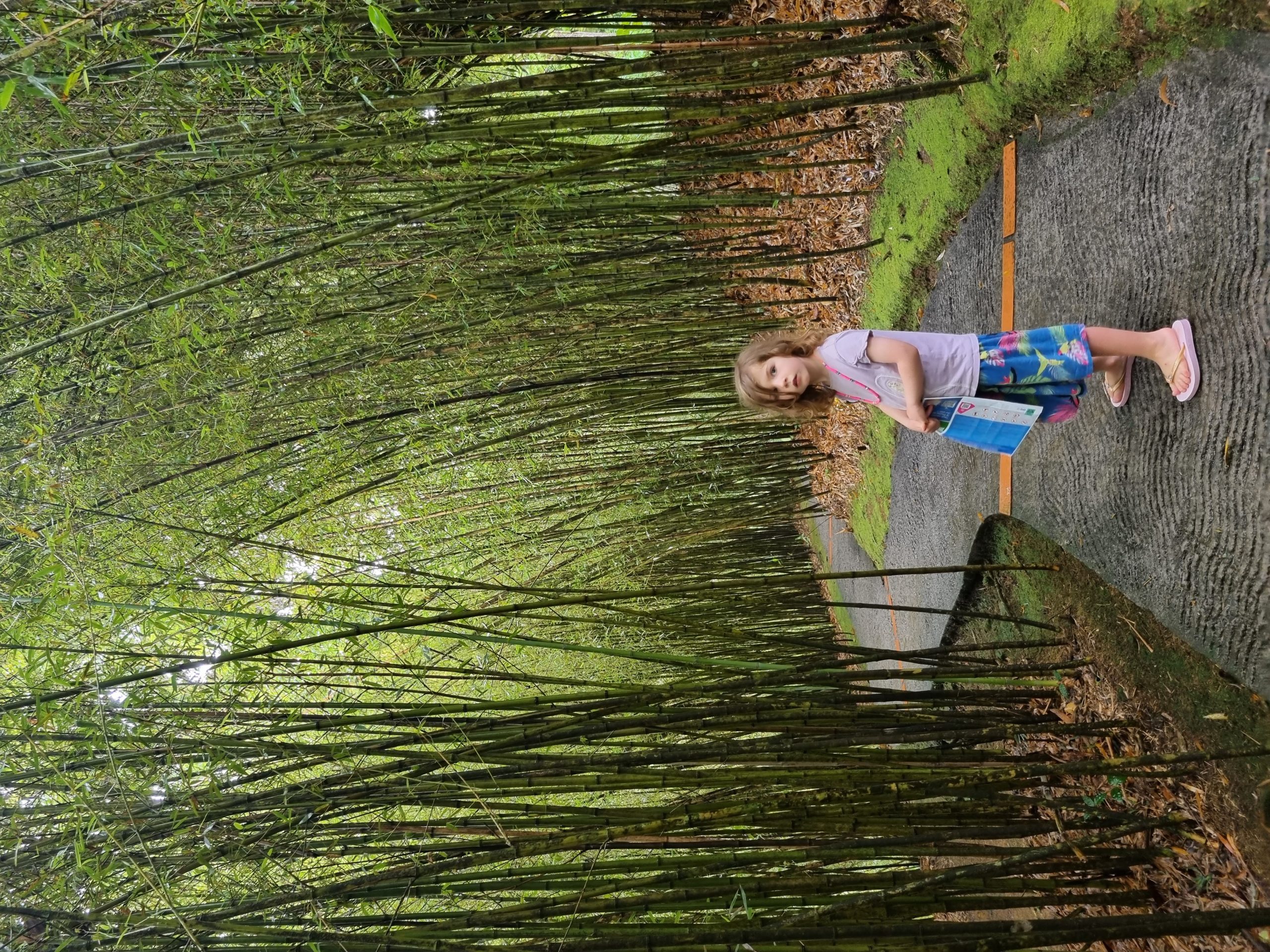 20221228_134341-scaled