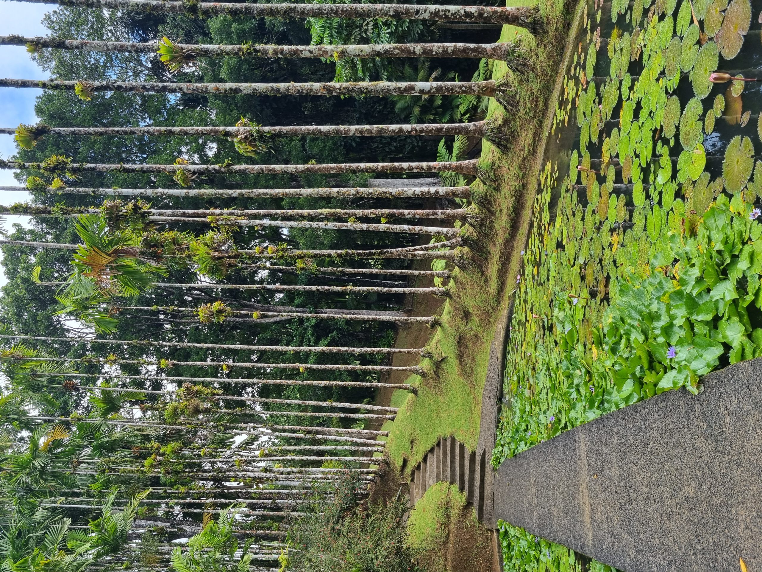 20221228_140949-scaled