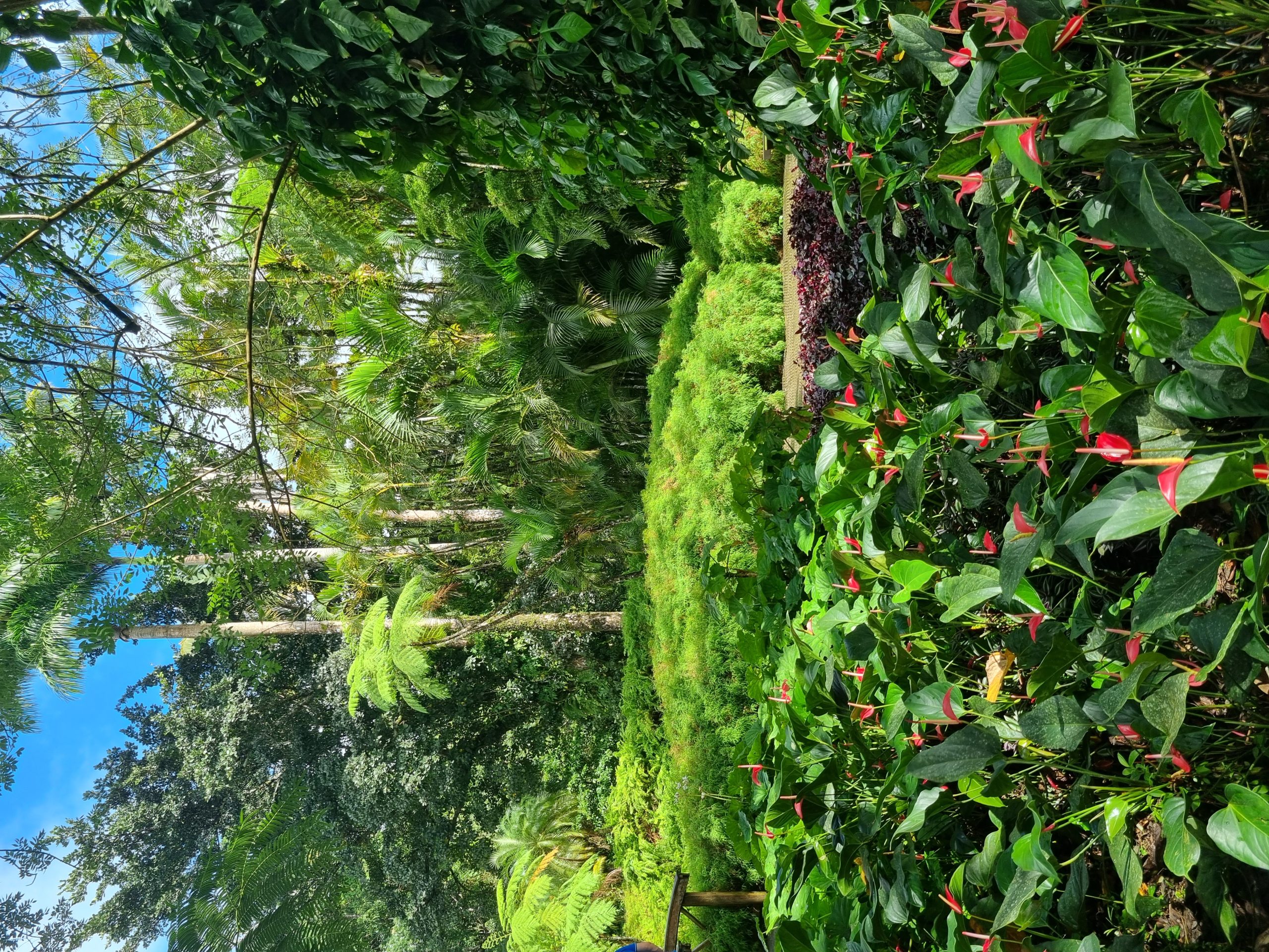 20221228_142247-scaled