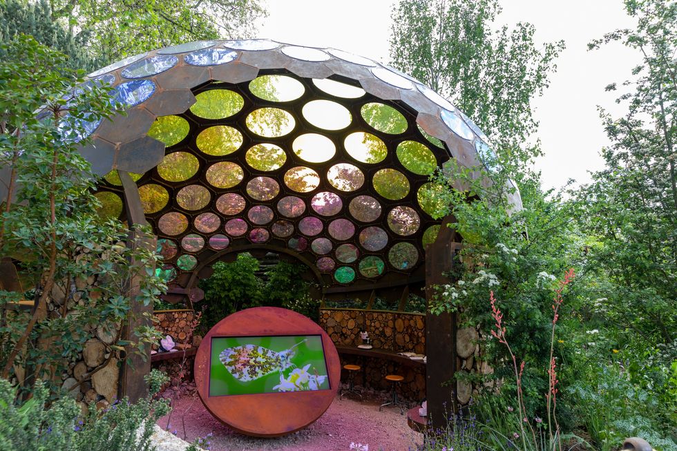 the royal entomological society garden