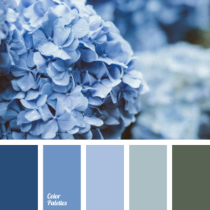 Colour Theory in Garden design - monochromatic blue colour palette