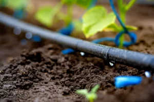 soaker hose in garden design plan