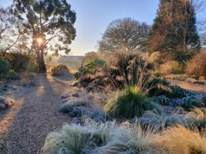 1 gravel garden frost morning jan1 1560398232