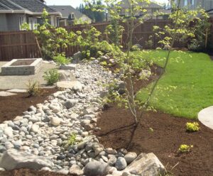 Back yard creek