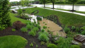 bioswale