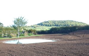 Fell pond view