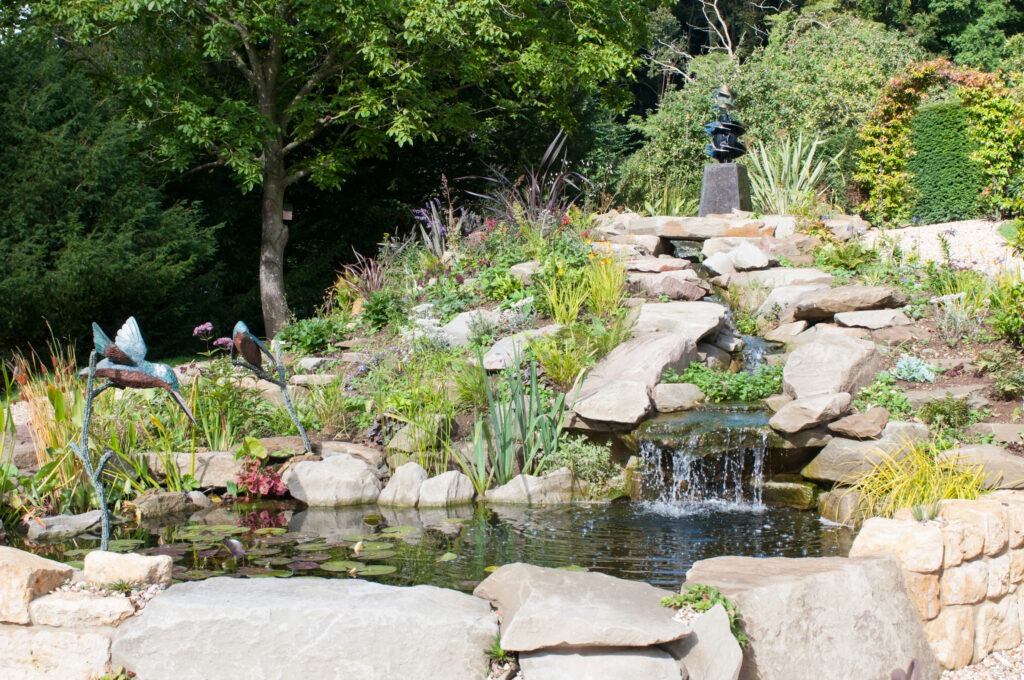 Pond-completion-1024x680