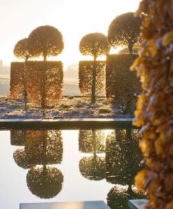 Topiary at Broughton Grange by Clive Nichols