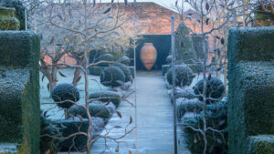 Topiary in frost