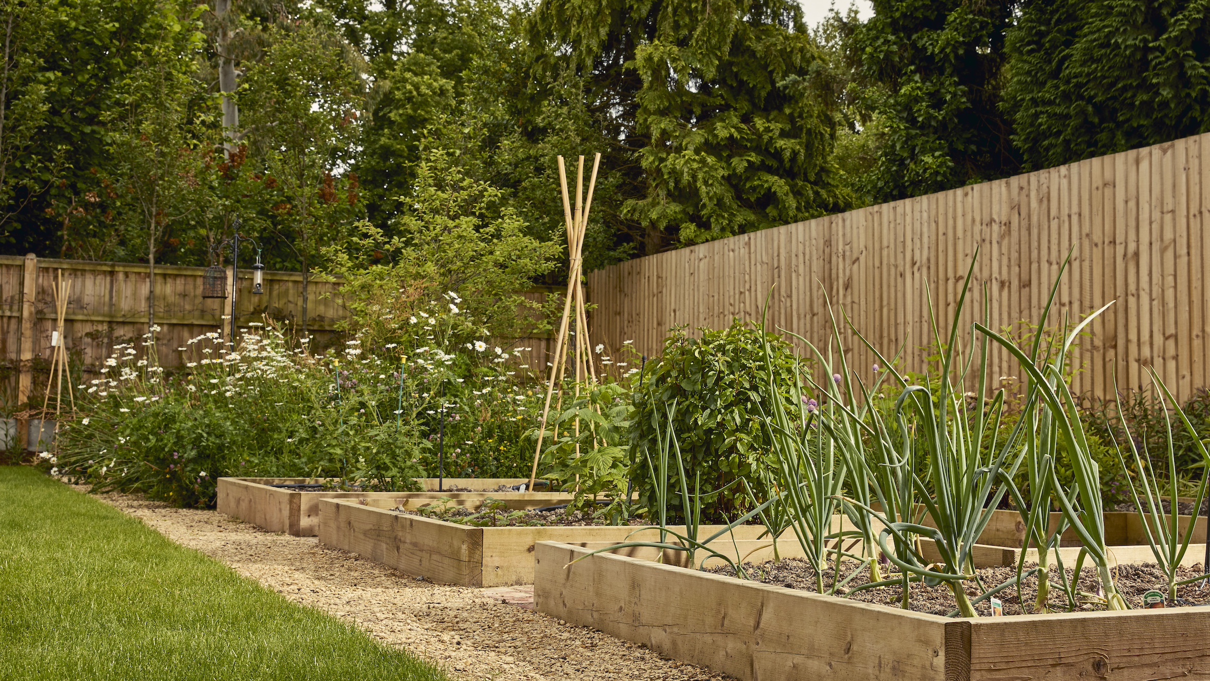Sustainable Garden Design: Veg Plot dos & don'ts | Gardens by Keltie & Clark