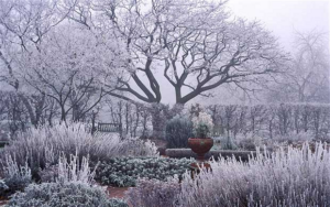 Winter frost garden Pinterest