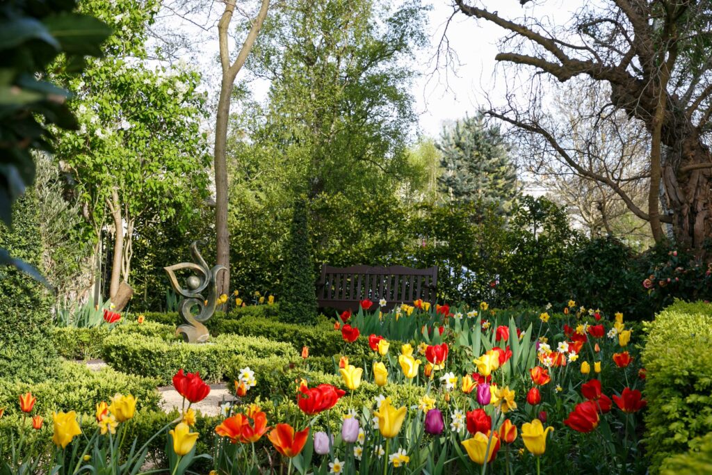 Energy tulips