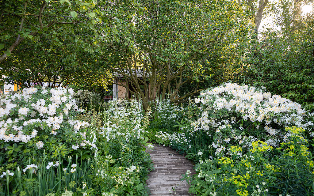 Tom Stuart Smith Chelsea 2024 The National Garden Scheme Garden