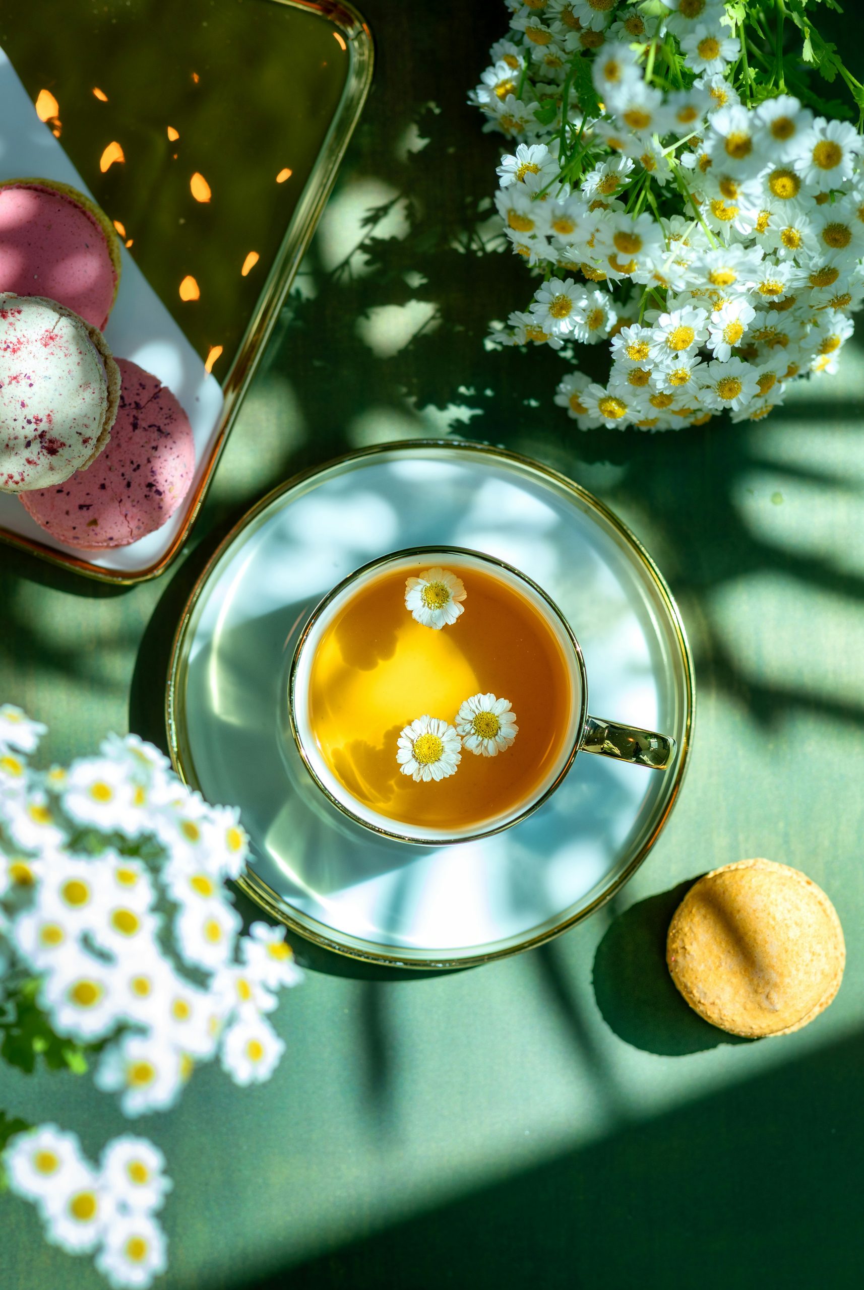 Feverfew taken in tea as a healing plant