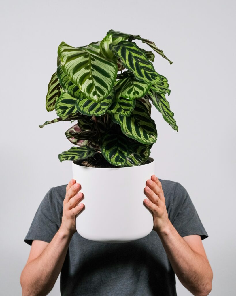 feey-66C2MYbqVfw-unsplash-819x1024