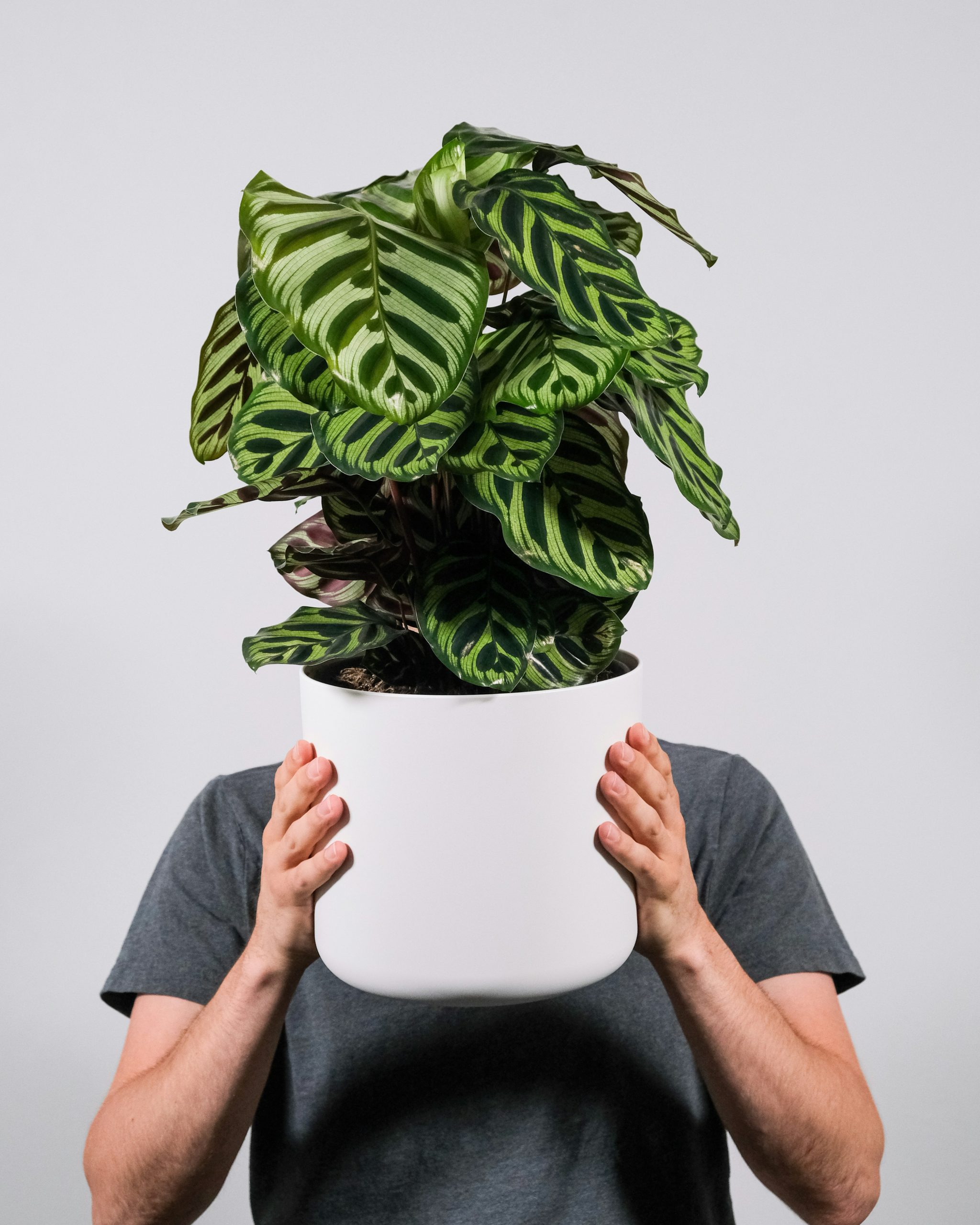 feey-66C2MYbqVfw-unsplash-scaled