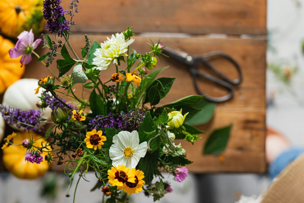 olivie-strauss-WNsavpMIBjM-unsplash-1024x683